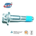 Tr Torx Head Bolt avec design personnalisé Special Fastener